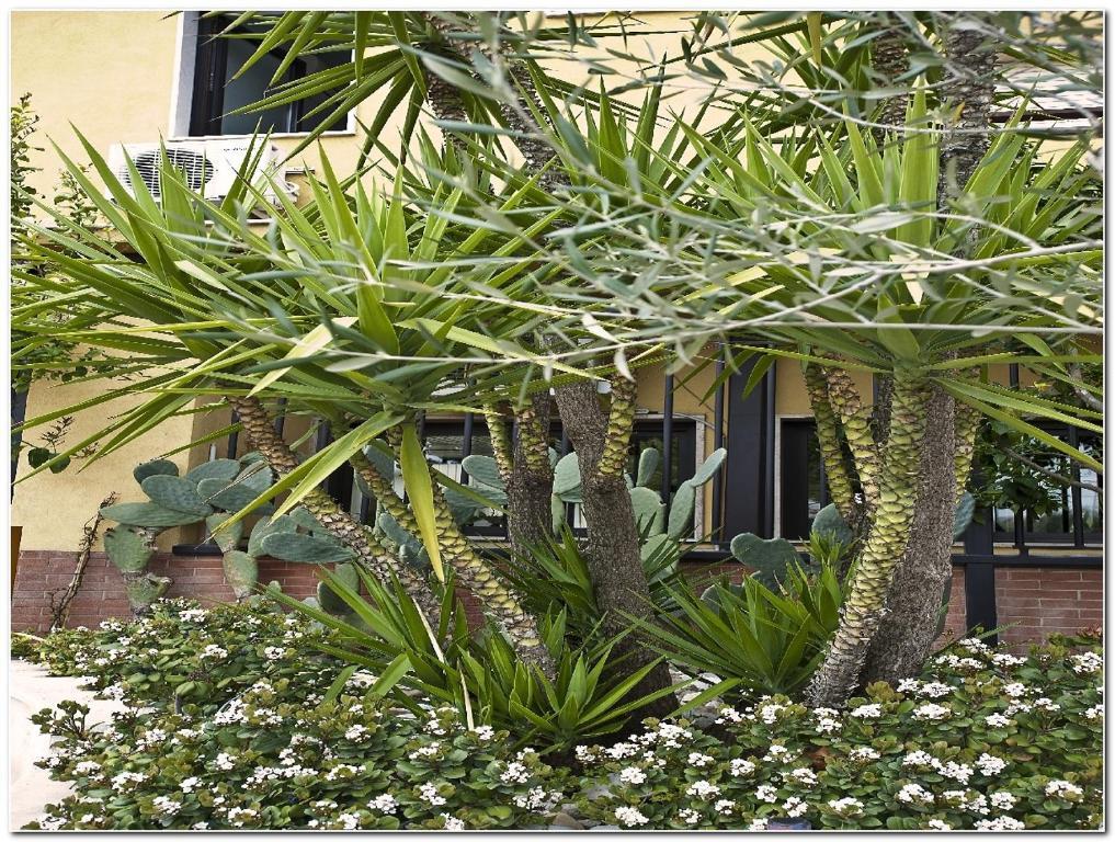 Hotel Veronese เชรินโญลา ภายนอก รูปภาพ